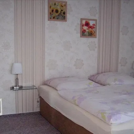 Apartment Ferienwohnung Siegmann